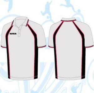 Picture of P3021 Polo Shirt